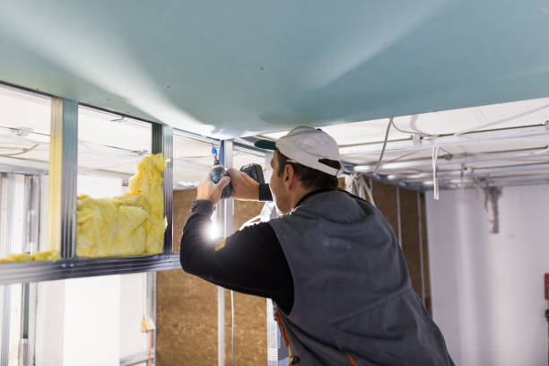 Best Insulation Maintenance and Repair in Santa Rosa, CA